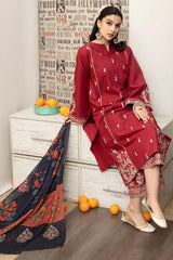 Winter Collection – Airjet Dhanak Embroidered 3-Piece Suit