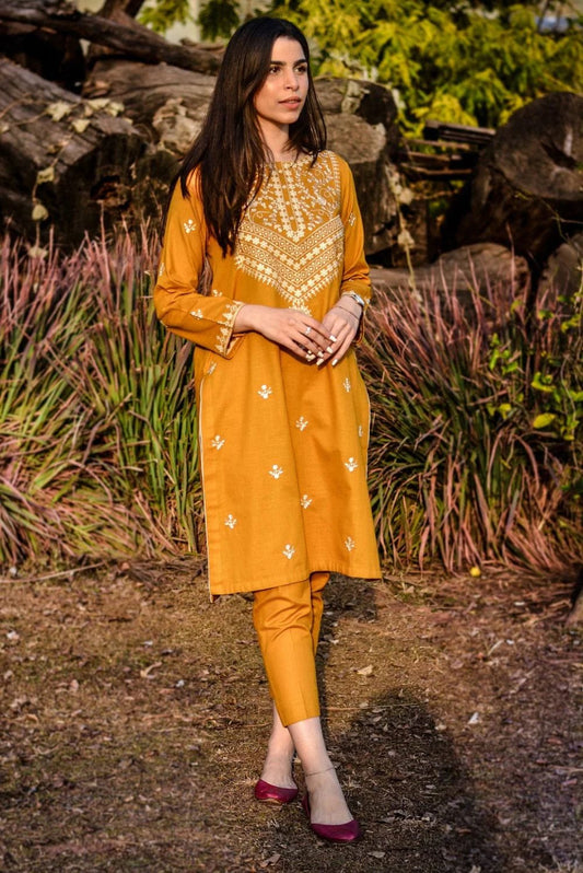 URGE Dhanak 2PC Embroidered ( Article 4)
