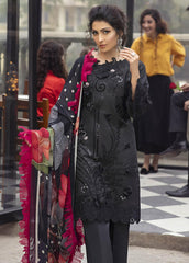 3-Piece Unstitched Suit: Chikankari Lawn with Silk Dupatta & Embroidered Patches