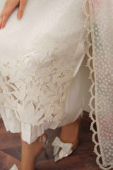 Heavy Embroidered Organza Dress with Satin Silk Trouser and Dupatta