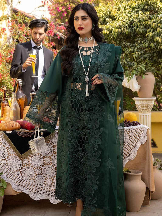 BIN ILYAS LUXURY LAWN COLLECTION 2025